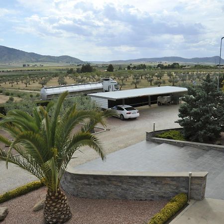 Villa Campo Premium Yecla Kültér fotó