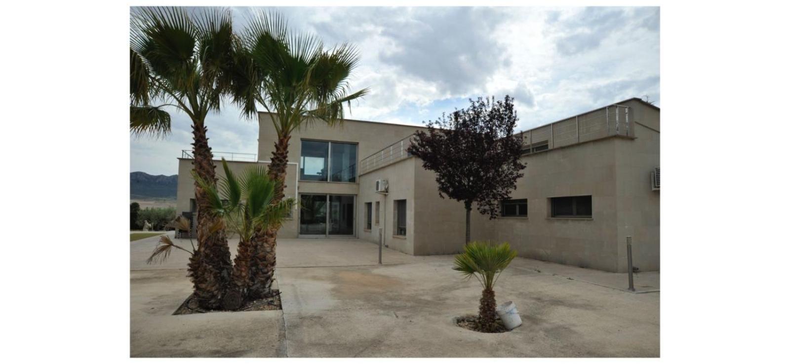 Villa Campo Premium Yecla Kültér fotó