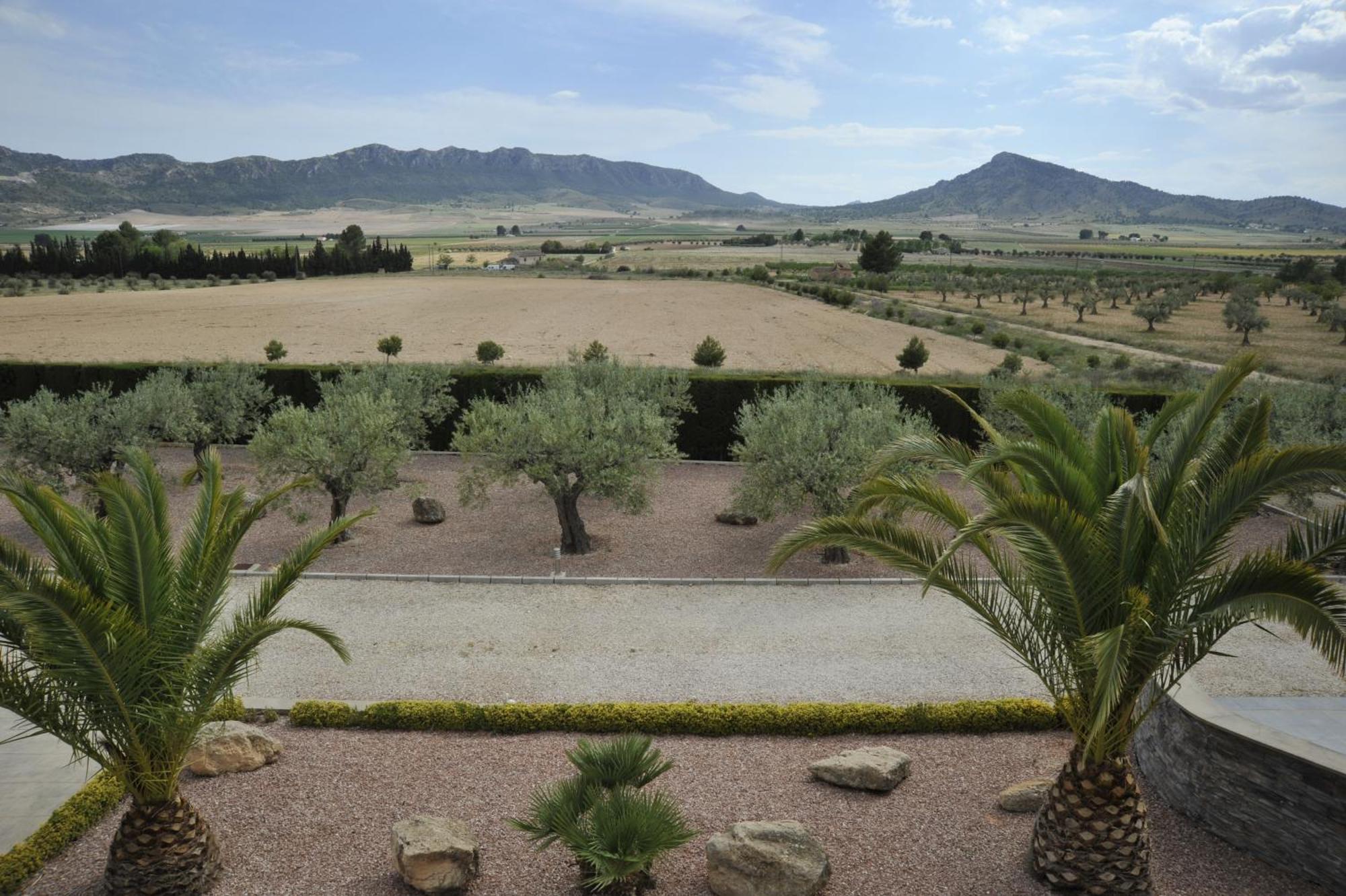 Villa Campo Premium Yecla Kültér fotó